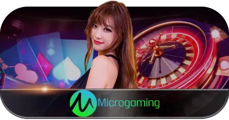 MICRO GAMING