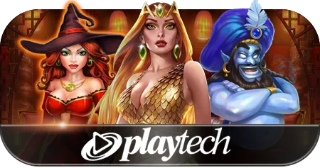 PLAYTECH Cardboard