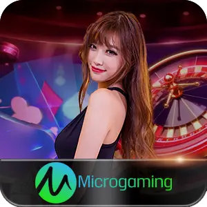 MICRO GAMING