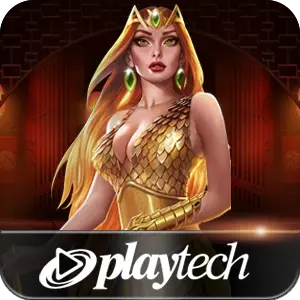PLAYTECH Cardboard